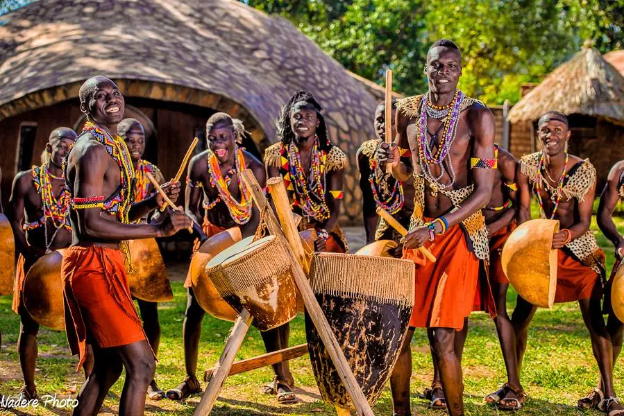 Uganda wildlife landscape