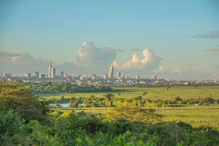 Nairobi National Park & City Tours