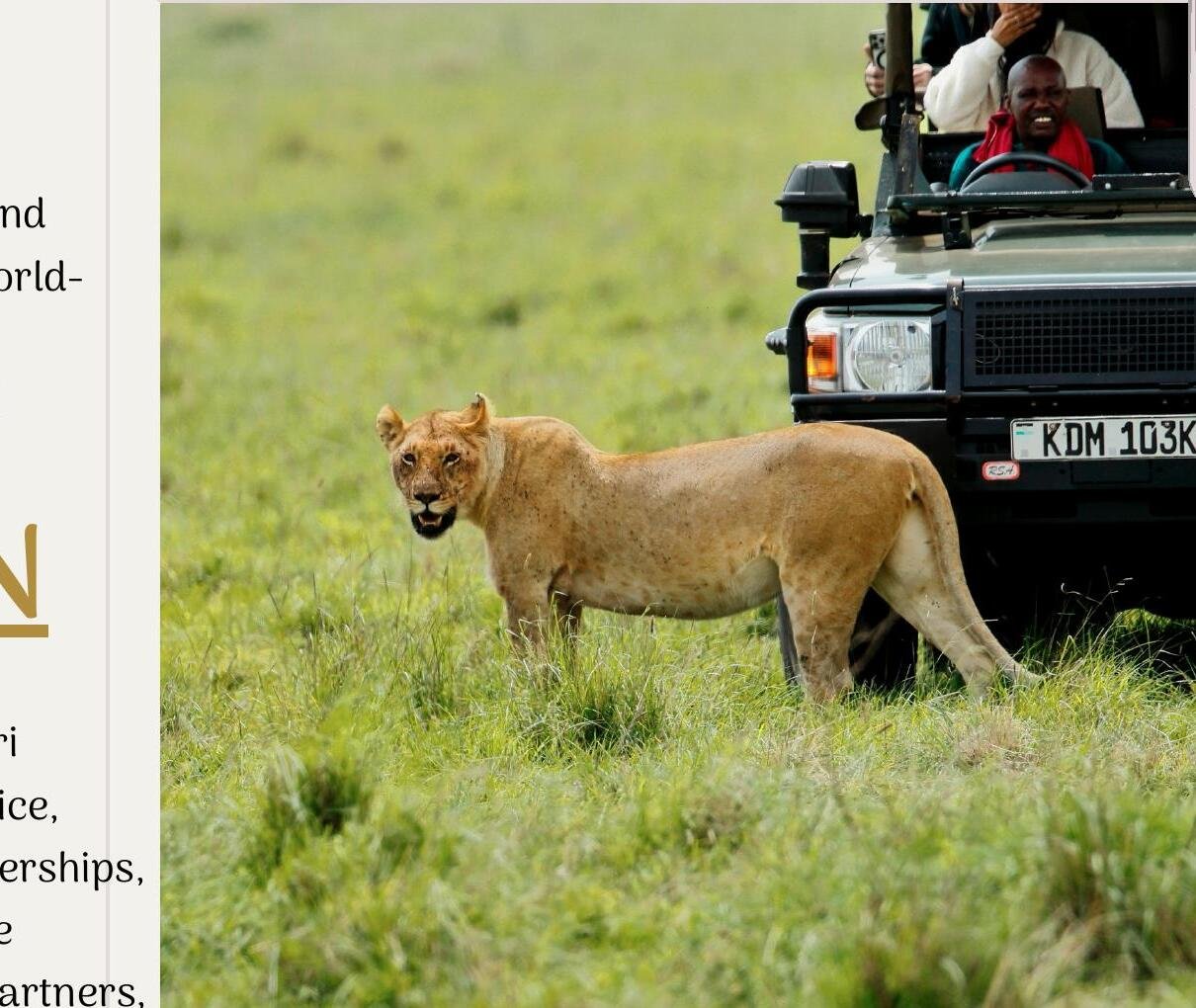 Protect wildlife and natural ecosystems